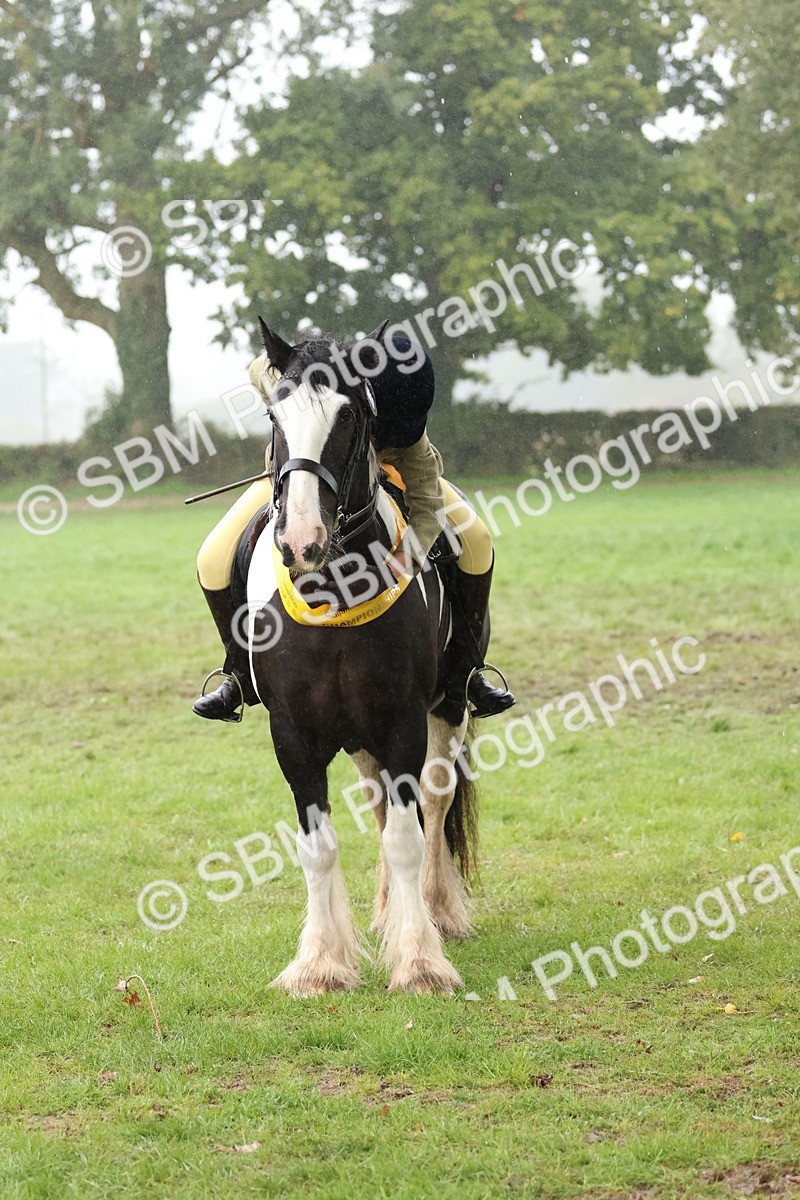 SBM_73153 - Ridden Pony Supreme Championship