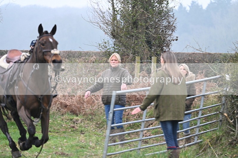 WJ7_0440 - Line 2 cam A