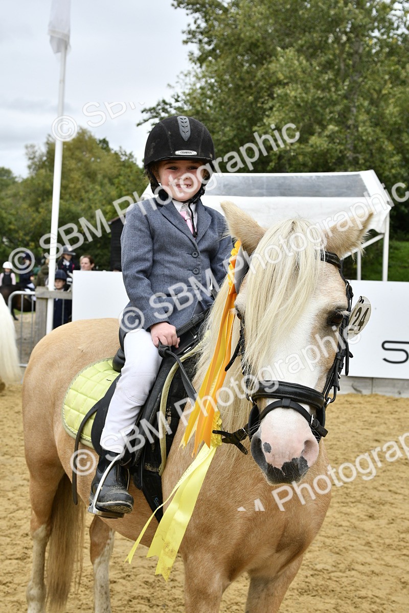 SBM_66255 - J2a mini Tour Junior Pony 30cm Championship