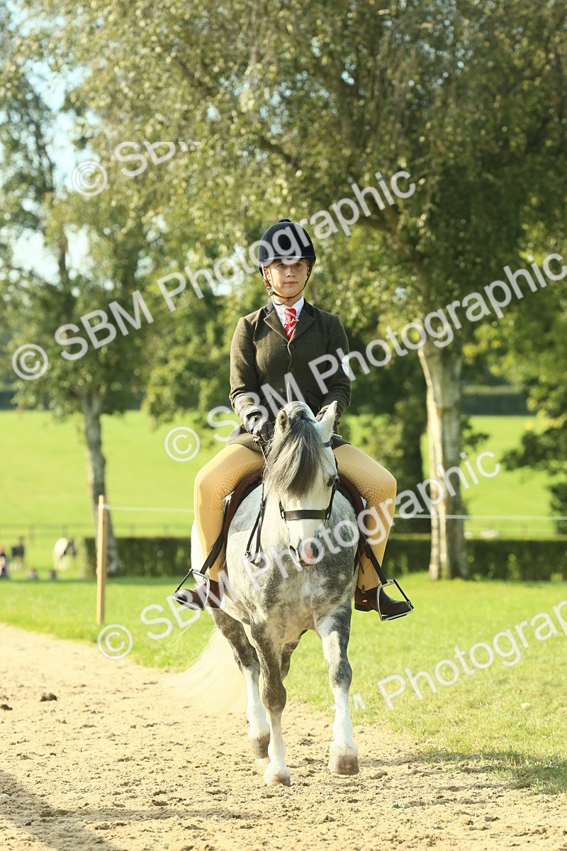 SBM_59892 - S38 - Starters Ridden Showing