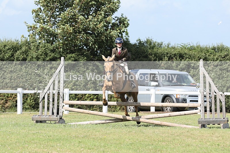 JPP_2692 - Class 20: Working Hunter 70cm