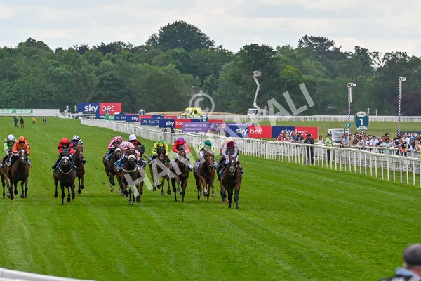 140625-Race 1-Humam-9176 - Race 1 1.50pm Doug Johnston Memorial Ubettabelieveit Macmillan Handicap