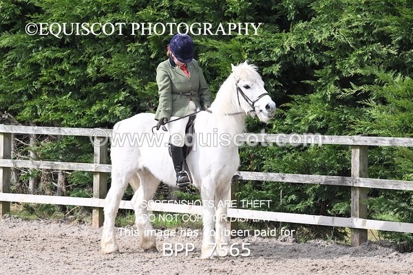 BPP_7565 - RING 1  (RIDDEN HORSES / IN HAND / VETERAN ETC)