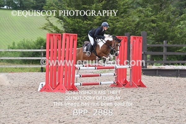 BPP_2888 - CLASS 6 Stepping Stones 128/ 138cms Handicap