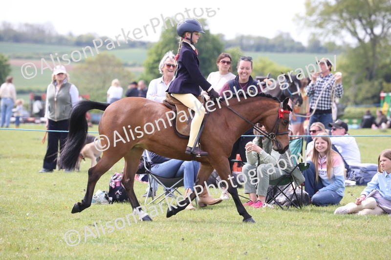 20260426-2922 - Class 33 - Best Pony 14.2hh and Under