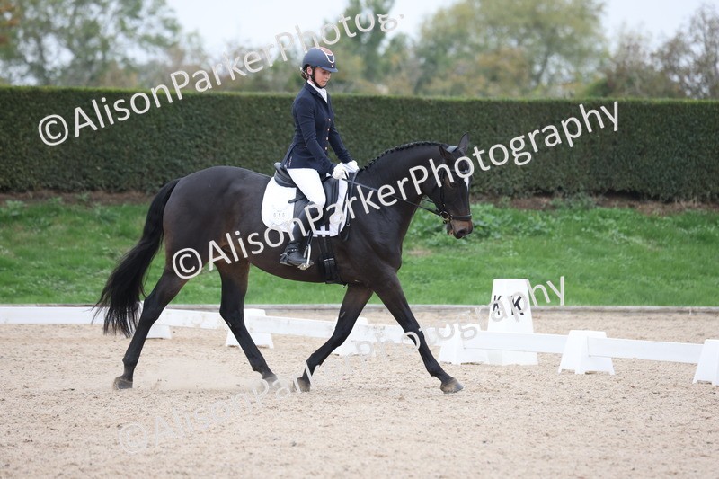 20251011-0466 - Class 4 - Novice 2