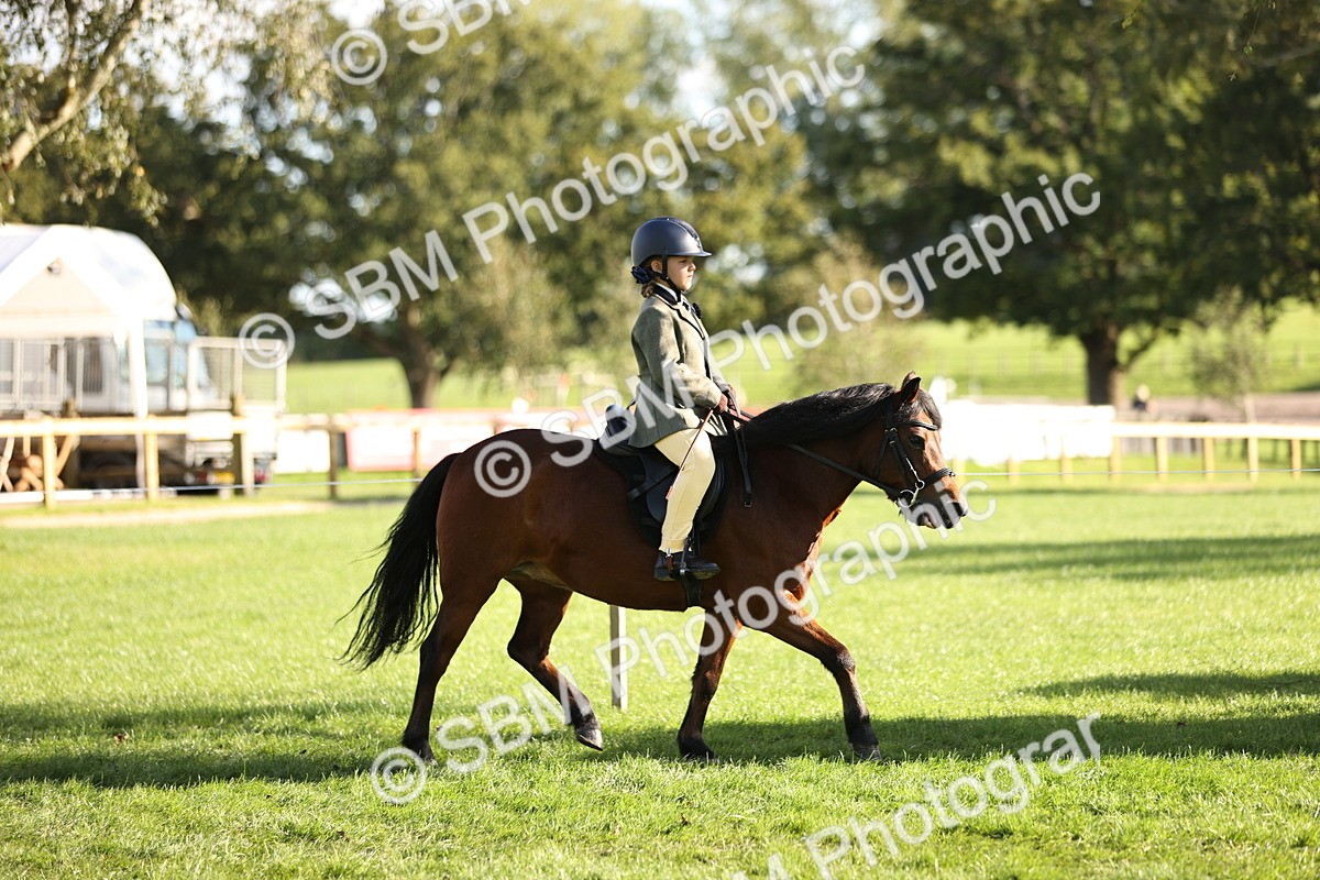 SBM_29339 - S7 - Novice & Newcomers Ridden Pony