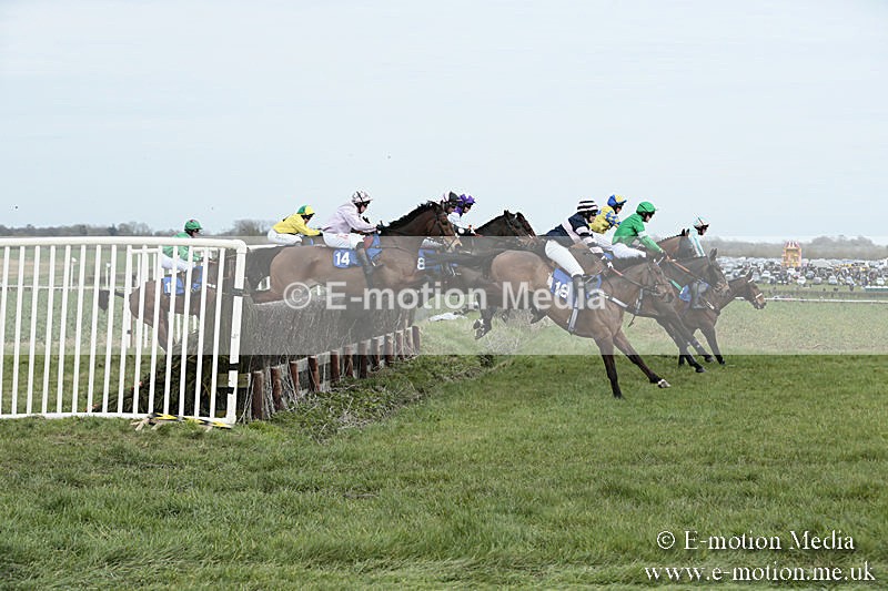 PtP 230319 157 - VWH Hunt Siddington Point-to-Point Racing 23/03/19