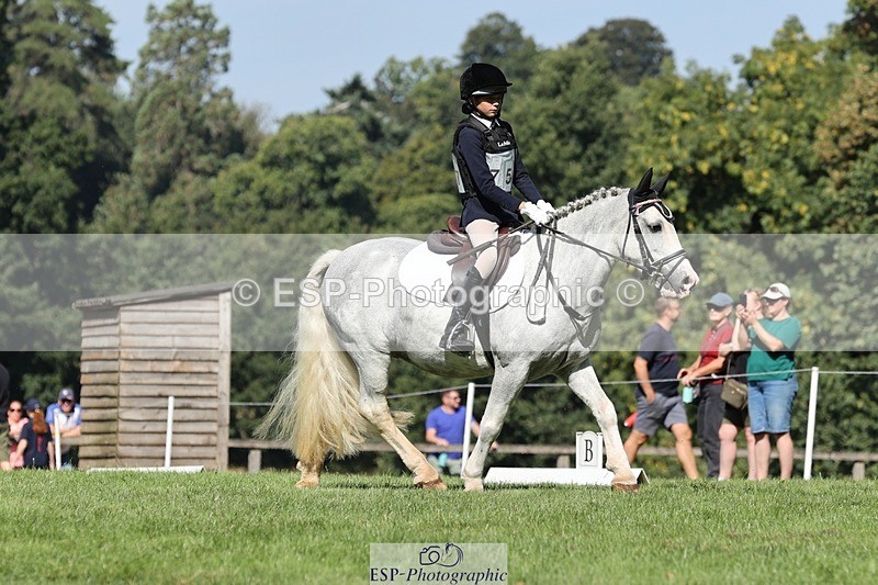 250823A-105714-27845 - Arena D