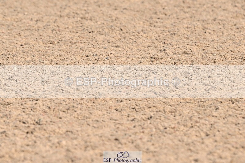 240509A-100139-00748 - Cls 8 Foxhunter