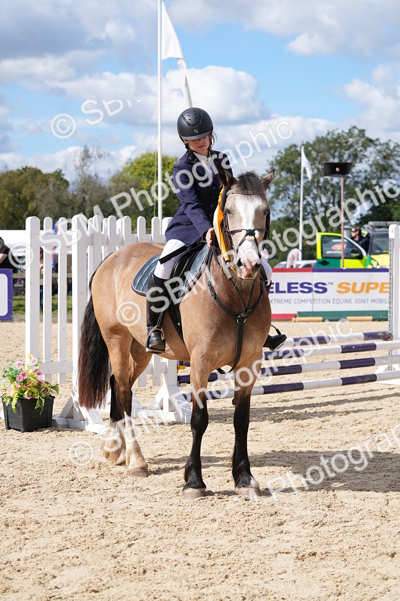 SBM_38930 - J21 - Junior Horse 60cm Championship