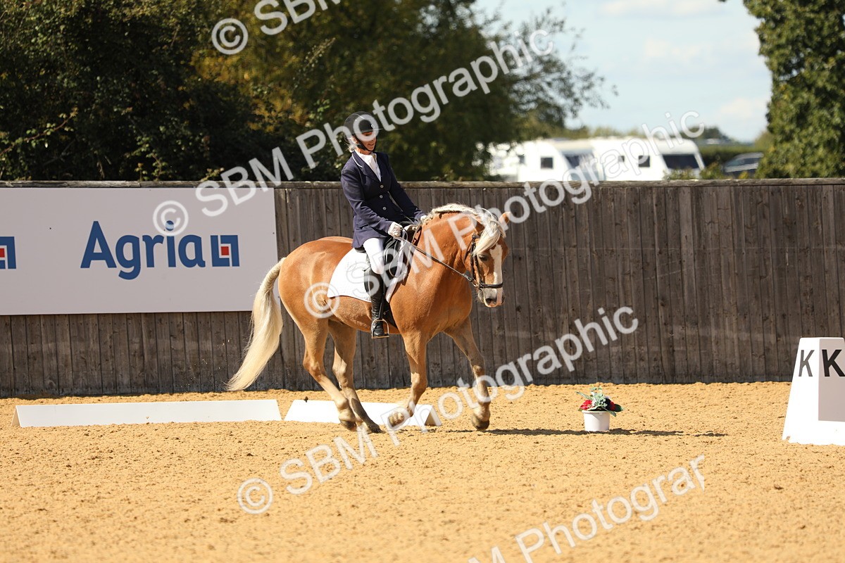 SBM_22386 - D17 - Grand Tour Championship - Novice 27