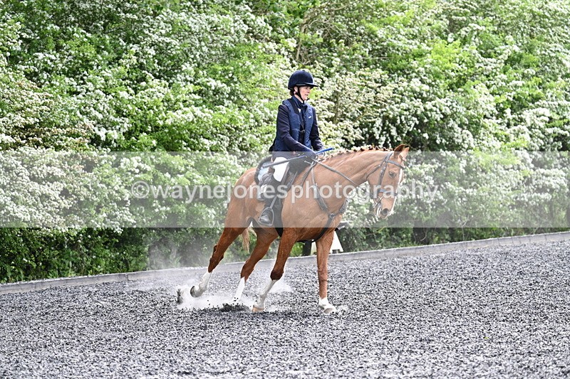 WJ7_0823 - Time 14:01 to 14:12