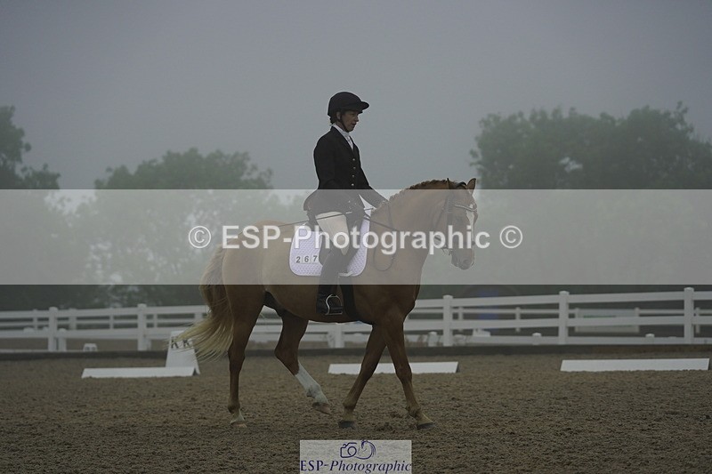 230708A-150308-03975 - Prelim 18