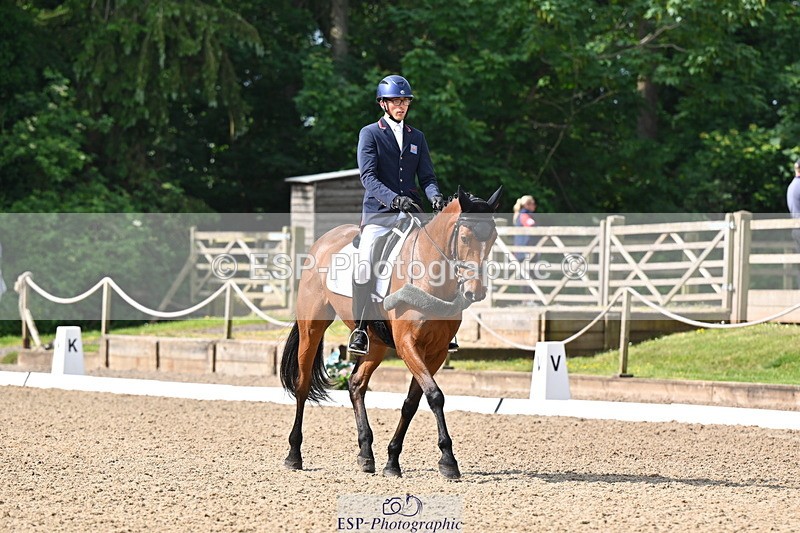 250523A-093937-05291 - C-258-Bill.Levett-ITALIAN.HARLEQUIN.NJ