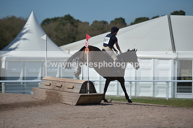 NGP_8185 - XC Time 13:29 to 13:34