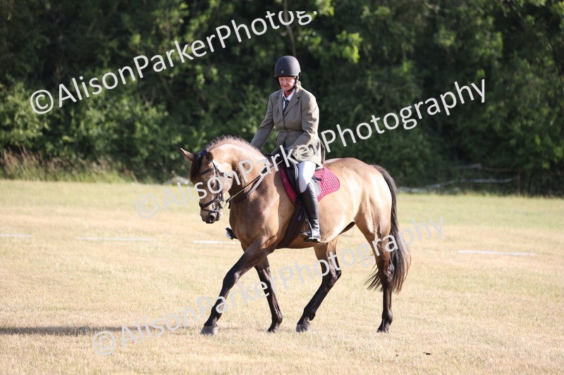 20250703-0273 - Class 1 - Intro 3