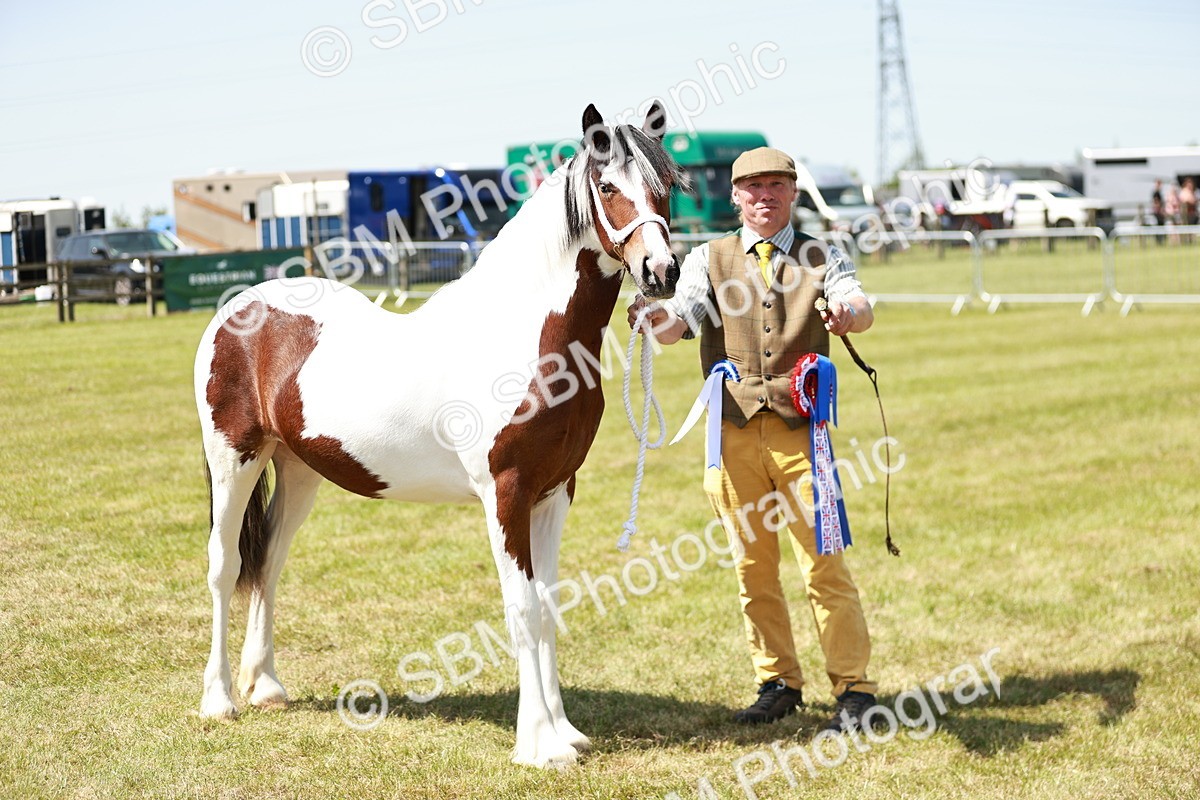 SBM_05531 - Class 41-45 - Riding Pony-Hunter Pony Breeding