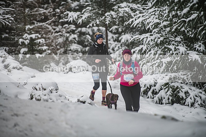 Glentress-898 - High Terrain Events Glentress 42, 21 & 10K Trail Races Sunday 15th February 2026