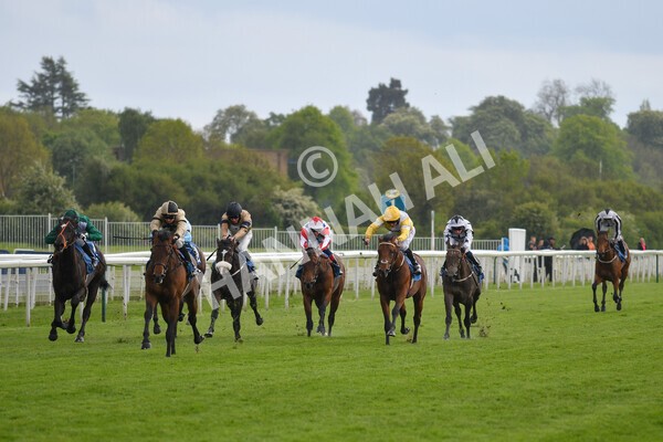 yr22052021r5-11 - Race 5 4.20pm William Hill EBF Novice Stakes (Plus 10 Race)