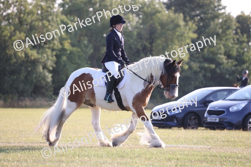 20250731-0803 - Class 1 - Intro 4