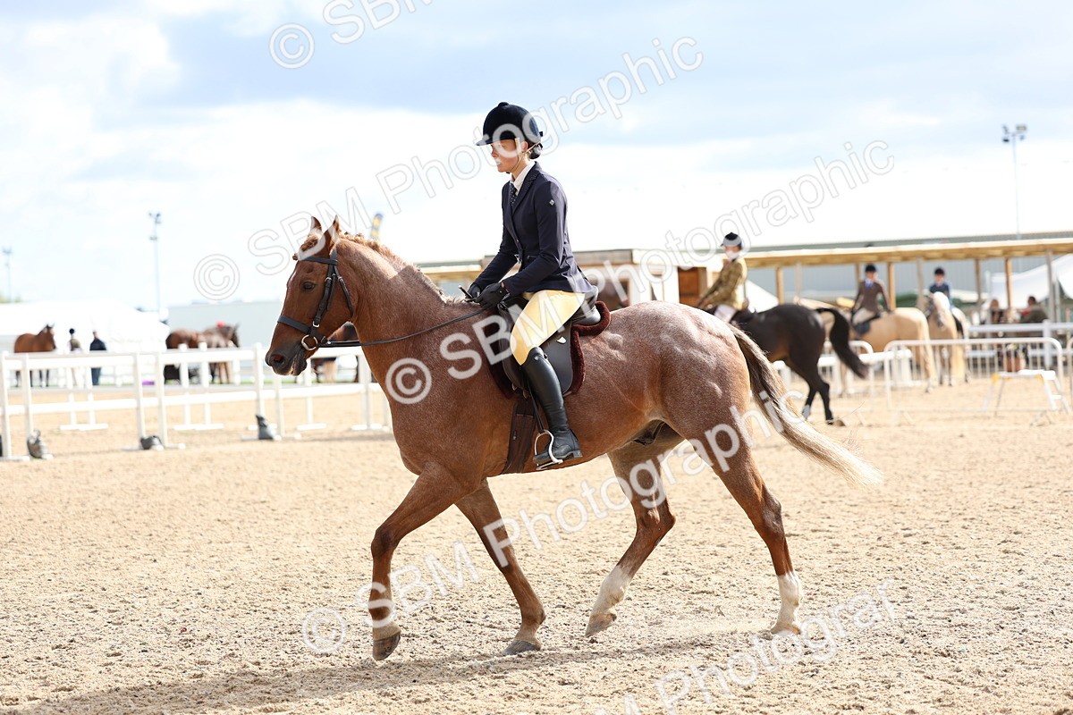 SBM_10061 - Class 304 - Ridden Part Bred Horse Pony