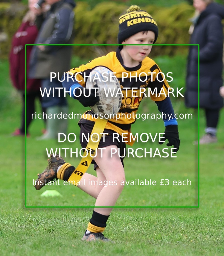 533A5206 - Kendal Rugby Under 7's (12/4/26)