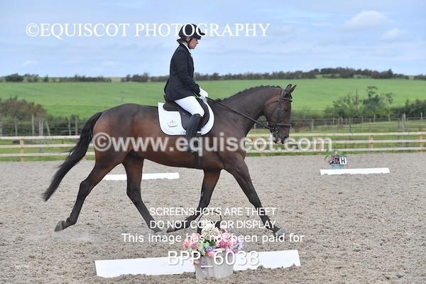 BPP_6038 - NOVICE TEST 4 + 6 LONG ARENA