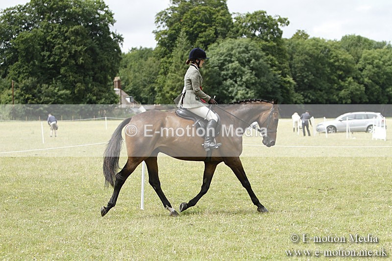 BVR160717-2282 - Working Hunter Championship 16/07/17