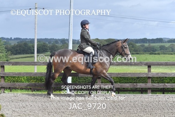 JAC_9720 - CLASS 2 Novice Working Hunter (0.60m - 0.70m)