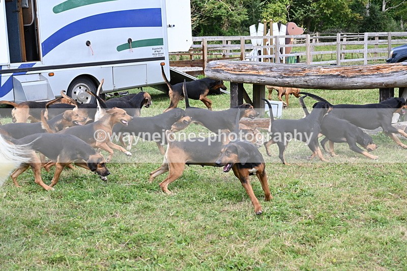 WJ6_3120 - Berks & Bucks - The Old farmhouse - Hound Exercise 20-08-25