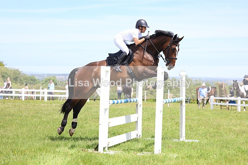 3E7A1295 - Class 12: Senior Foxhunter/1.20 open
