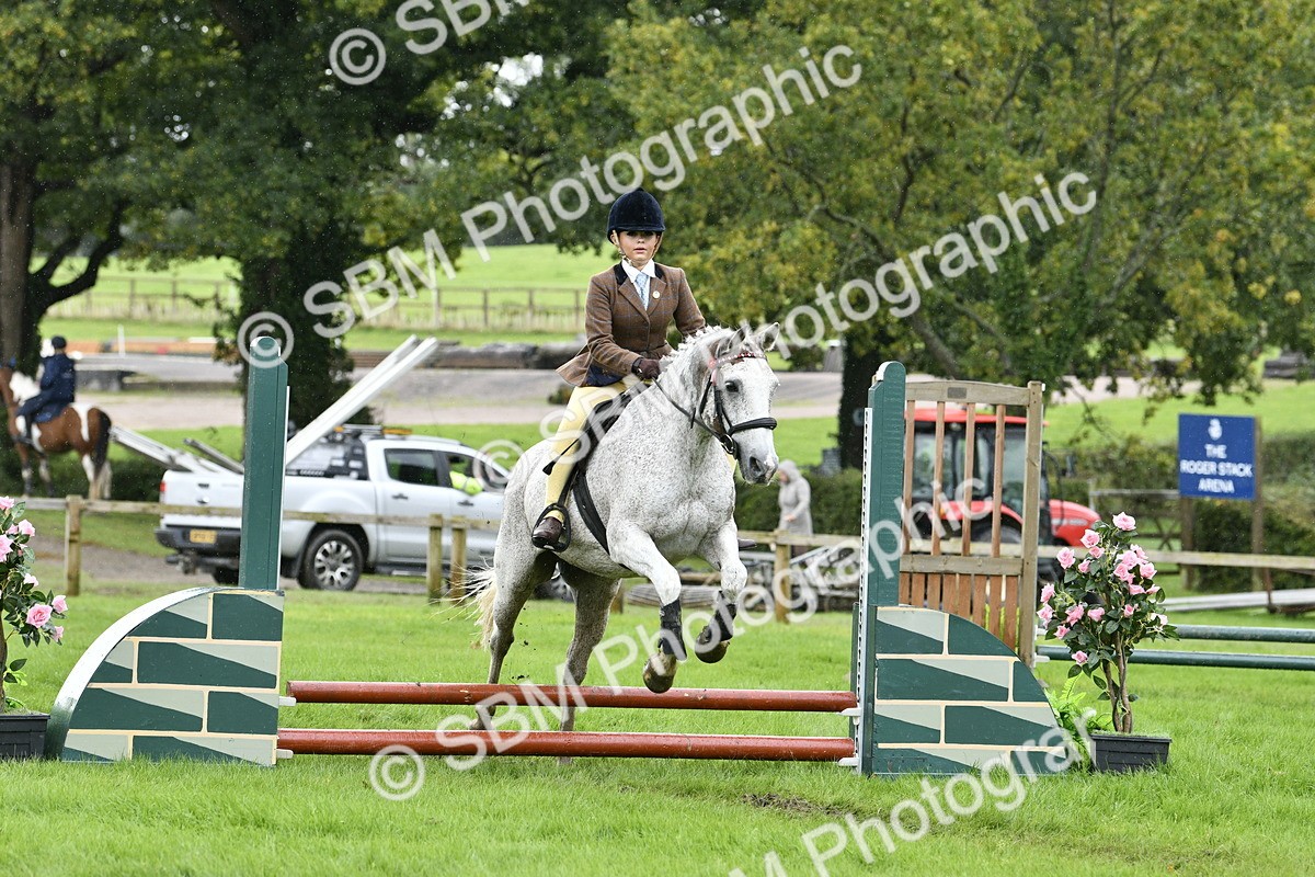 SBM_41444 - S32 - Mountain & Moorland Working Hunter Pony