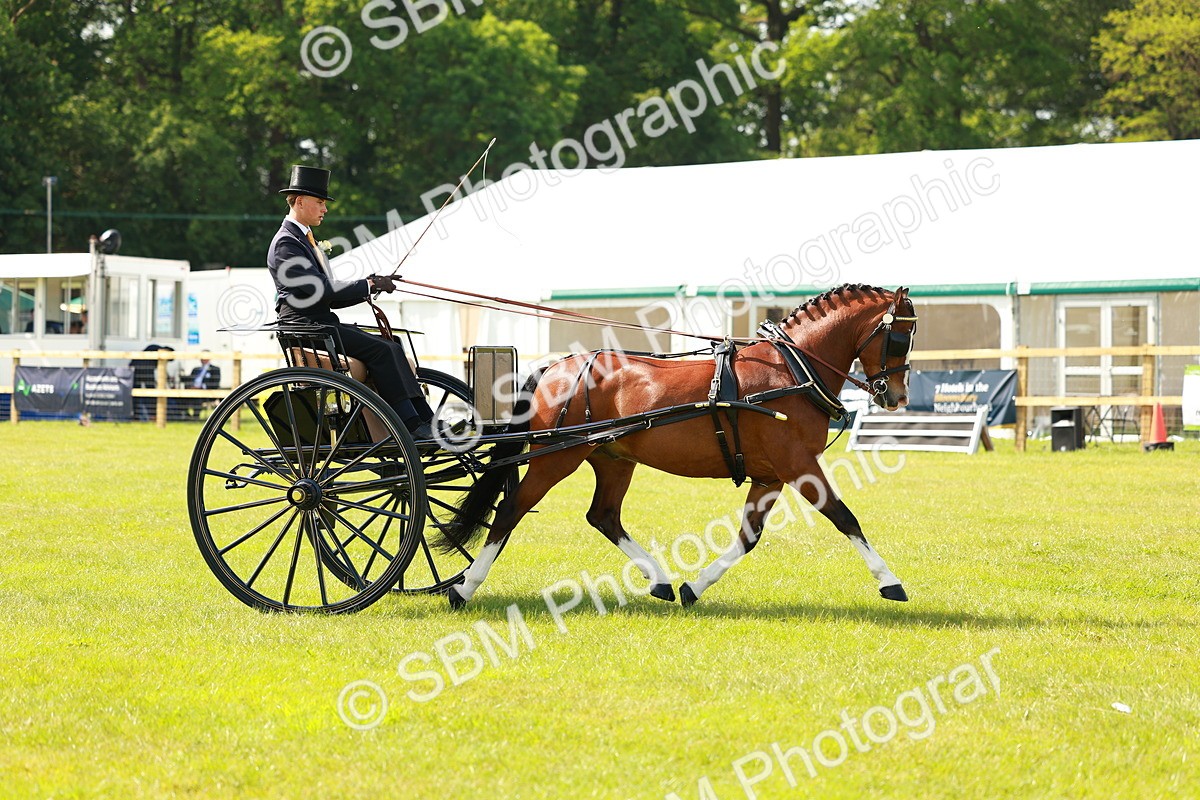 SBM_02699 - Class 2-4 - HOYS Private Driving