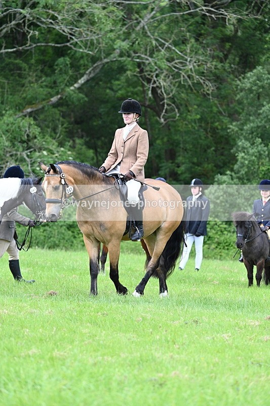 WJ7_1403 - Class 11 Condition & Turnout