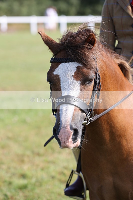 JPP_0580 - Class 15: Cornish Combination First Ridden