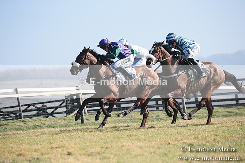 PtP 230219 101 - Vine & Craven Point-To-Point - Barbury 23/02/19