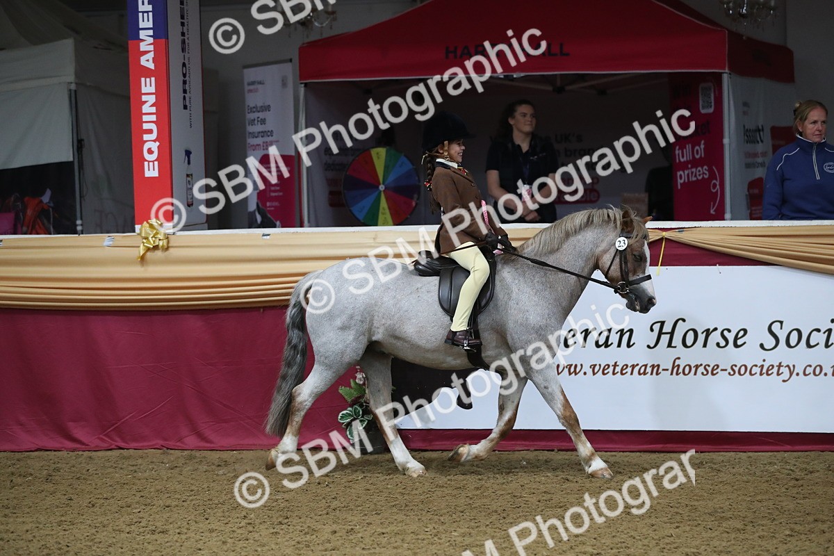 SBM_09400 - Class 101 Equitation (best rider), Junior