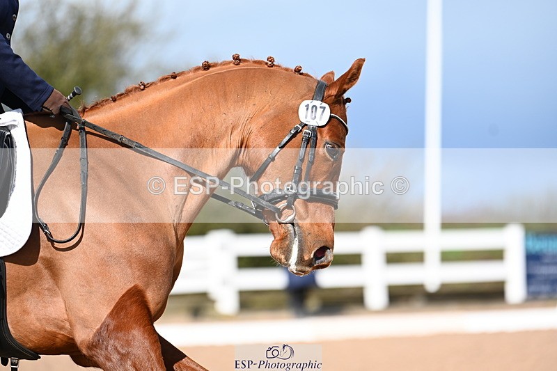 240323A-103658-01190 - MyQuest Novice 27