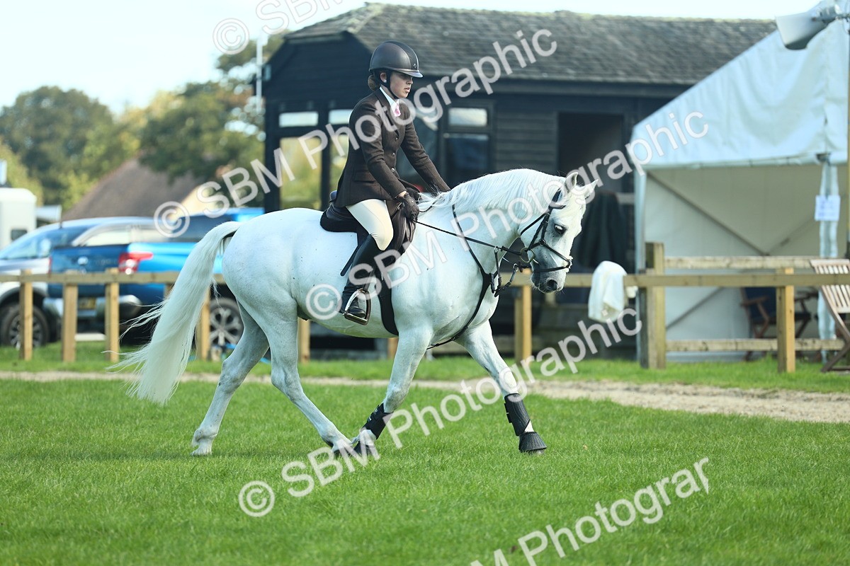 SBM_39216 - S29 - Novice & Newcomers Working Hunter Pony