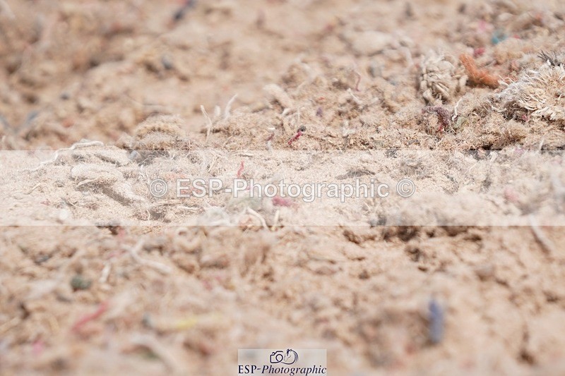 250622-103936-13373 - Cls 52 FreeStyle Elementary Inc Presentations