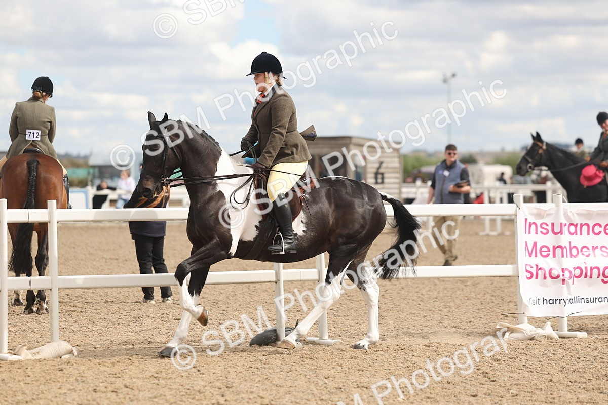 SBM_14772 - Class 308 - Ridden Coloured Horse