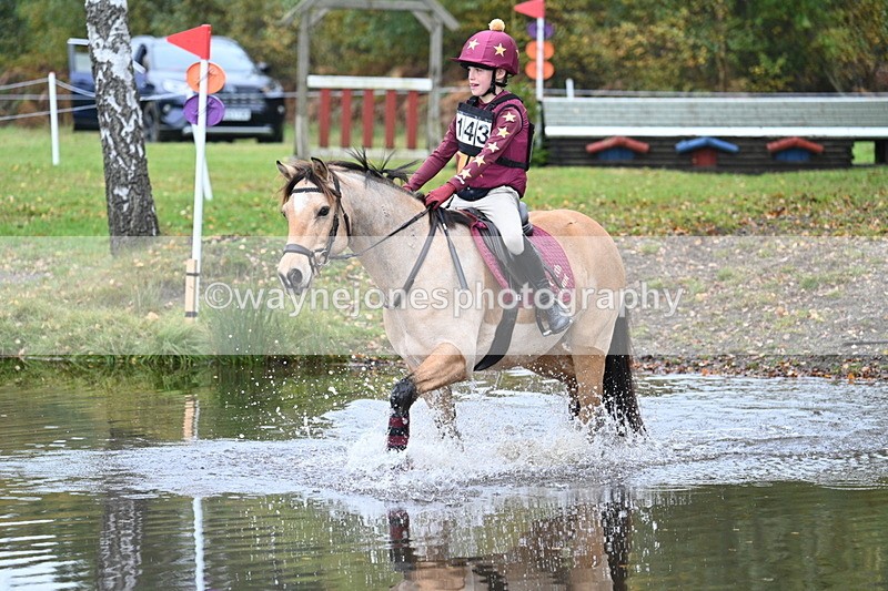 WJ7_1080 - 80cm Cam 2 Water Time 11:29 to 11:46