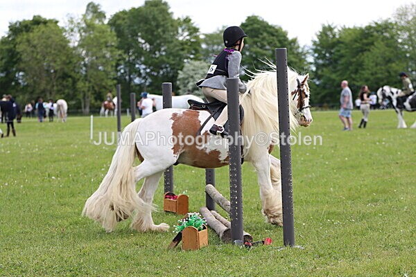 IMG_2439 - Working Hunter