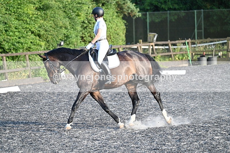 WJ7_9931 - Time 19:22 to 19:36