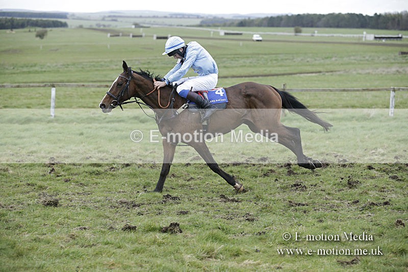 PtP 150320 0902 - New Forest Point-to-Point Larkhill 15/03/20