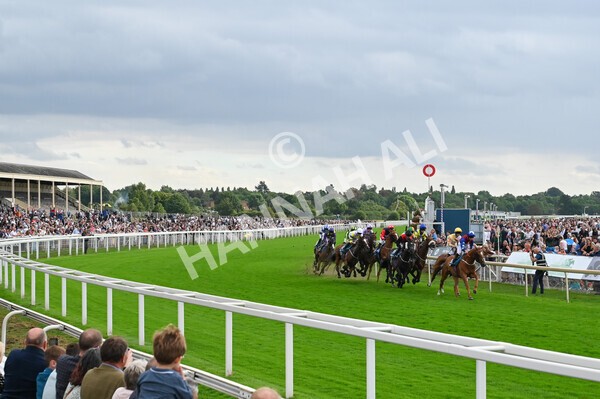 yr04092022r5-27 - Race 5 4.05pm Little Green Rascals Children's Nurseries Stakes