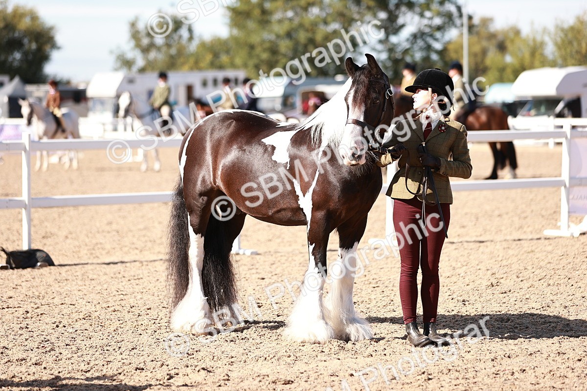 SBM_12588 - Class 404 - IH Traditional - Native Cob