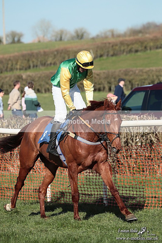 PtP 210326 864 - VWH Cirencester Races 21/03/26