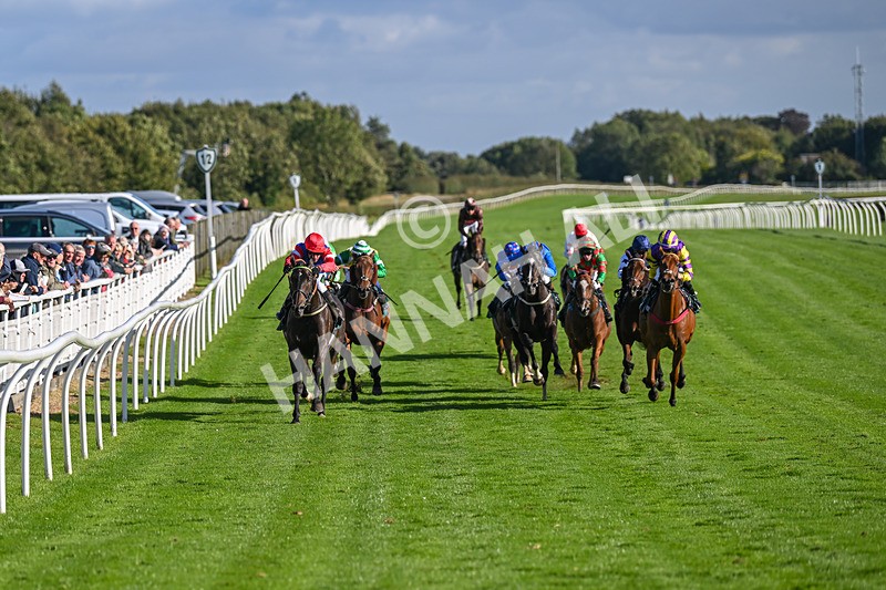 100924-Race 5-Crocodile Power-0407 - Race 5